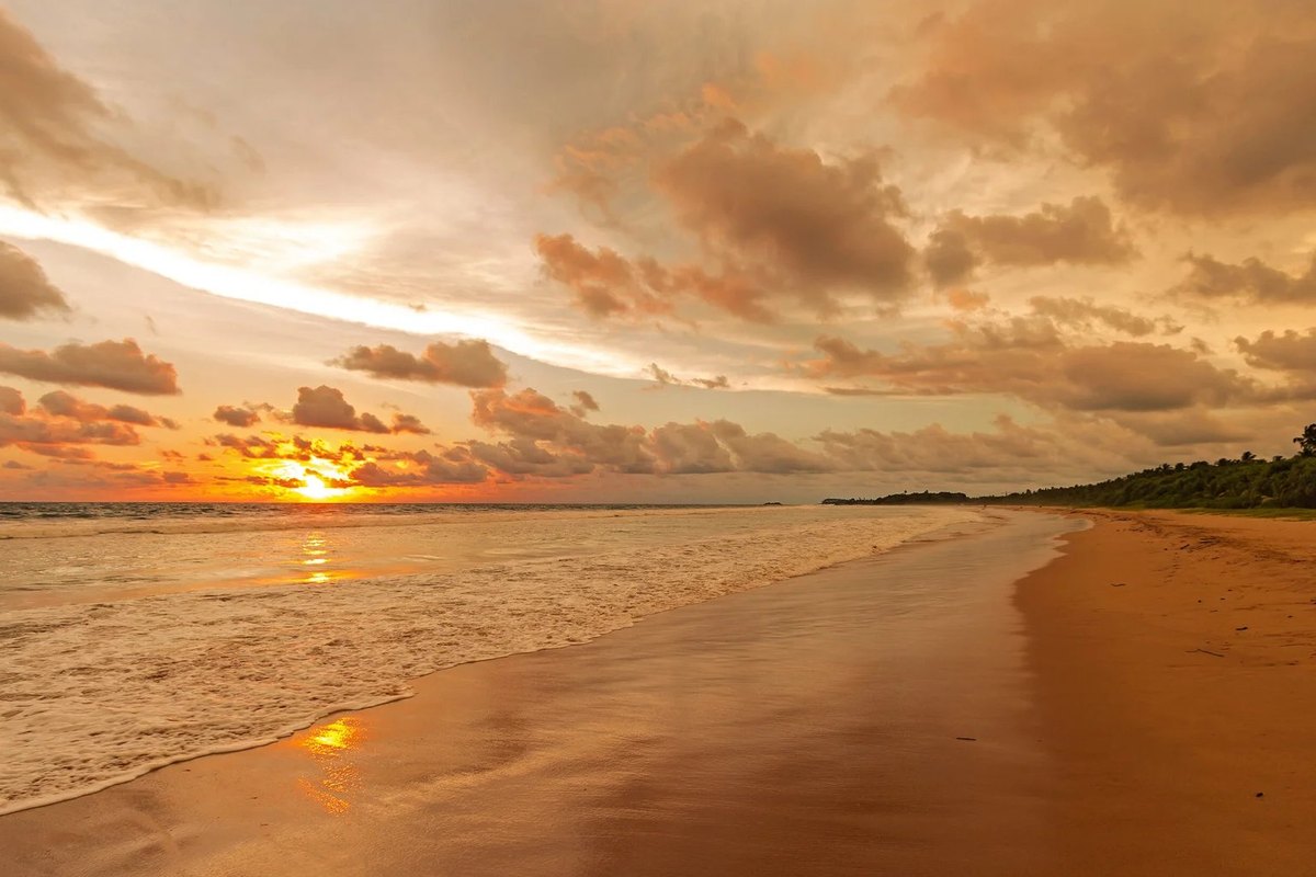 Bentota beach with golden sunset over the Indian Ocean and palm-lined coastline in Sri Lanka