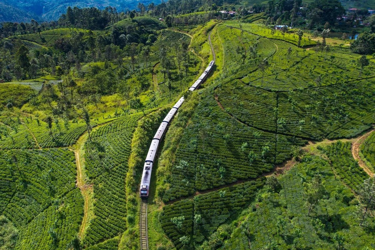 Tea plantations and colonial architecture in Nuwara Eliya, Sri Lanka's hill country