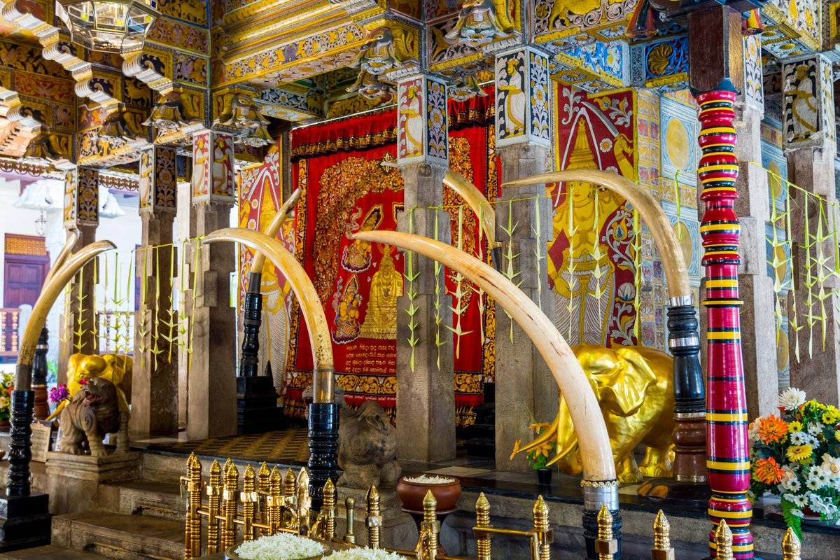 World Heritage Discovery Tour