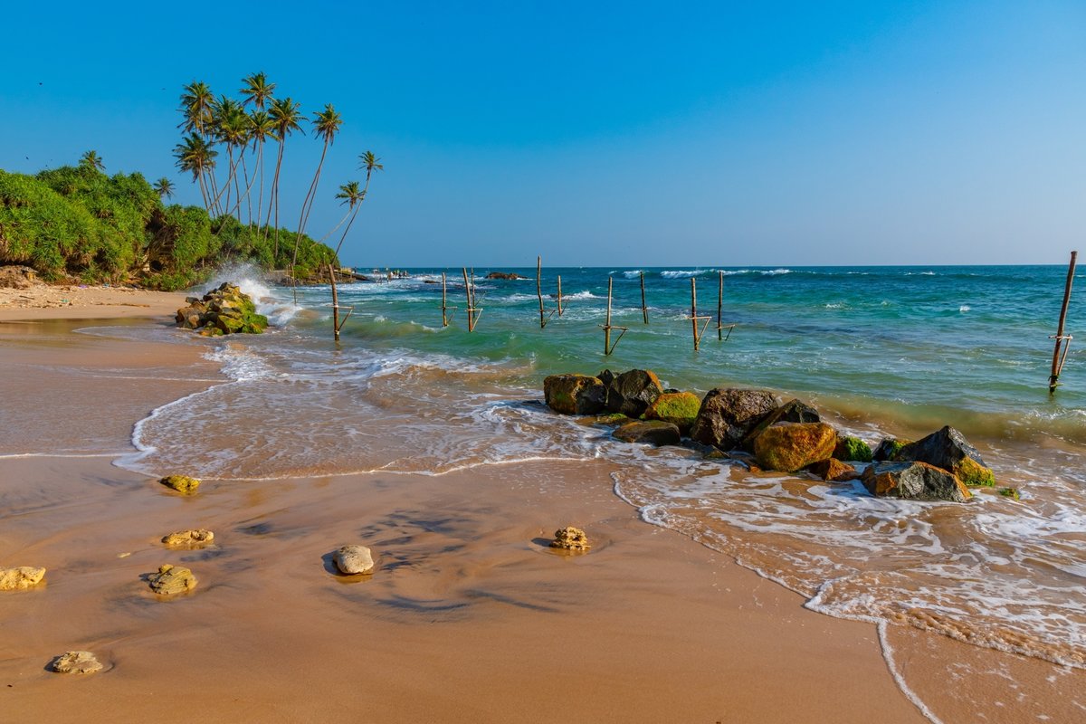 Tailor-Made Tours